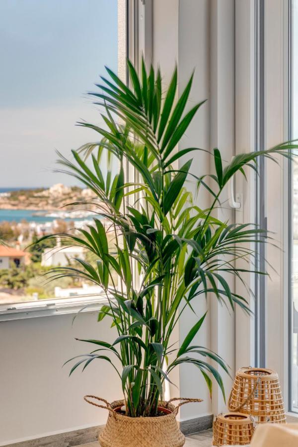 Villa Mare Syros 菲尼卡斯 外观 照片